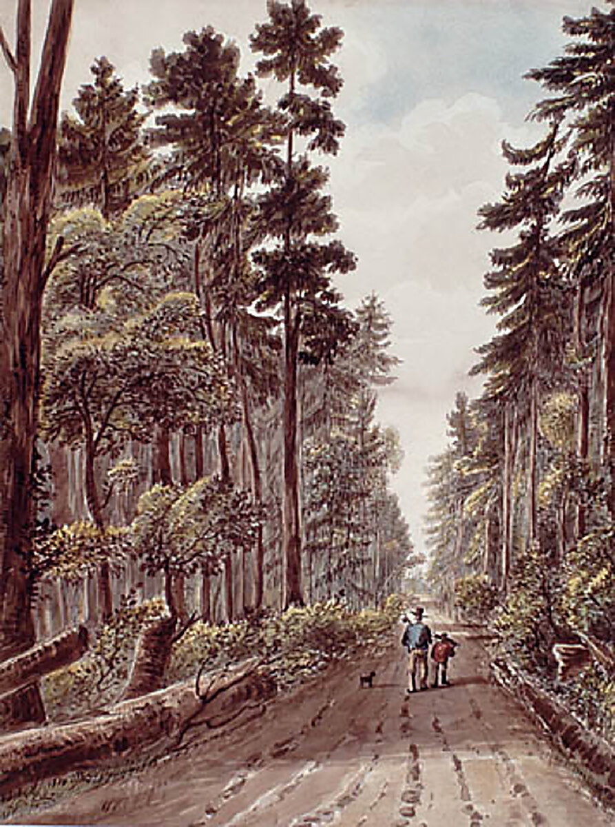 Road Between Kingston and York, Upper Canada