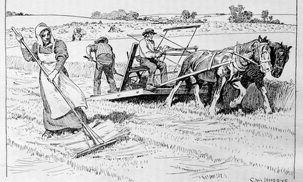An Early McCormick Reaper at Work