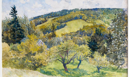 Apple Orchard, Wooded Hillside - Durham Hills or Nova Scotia