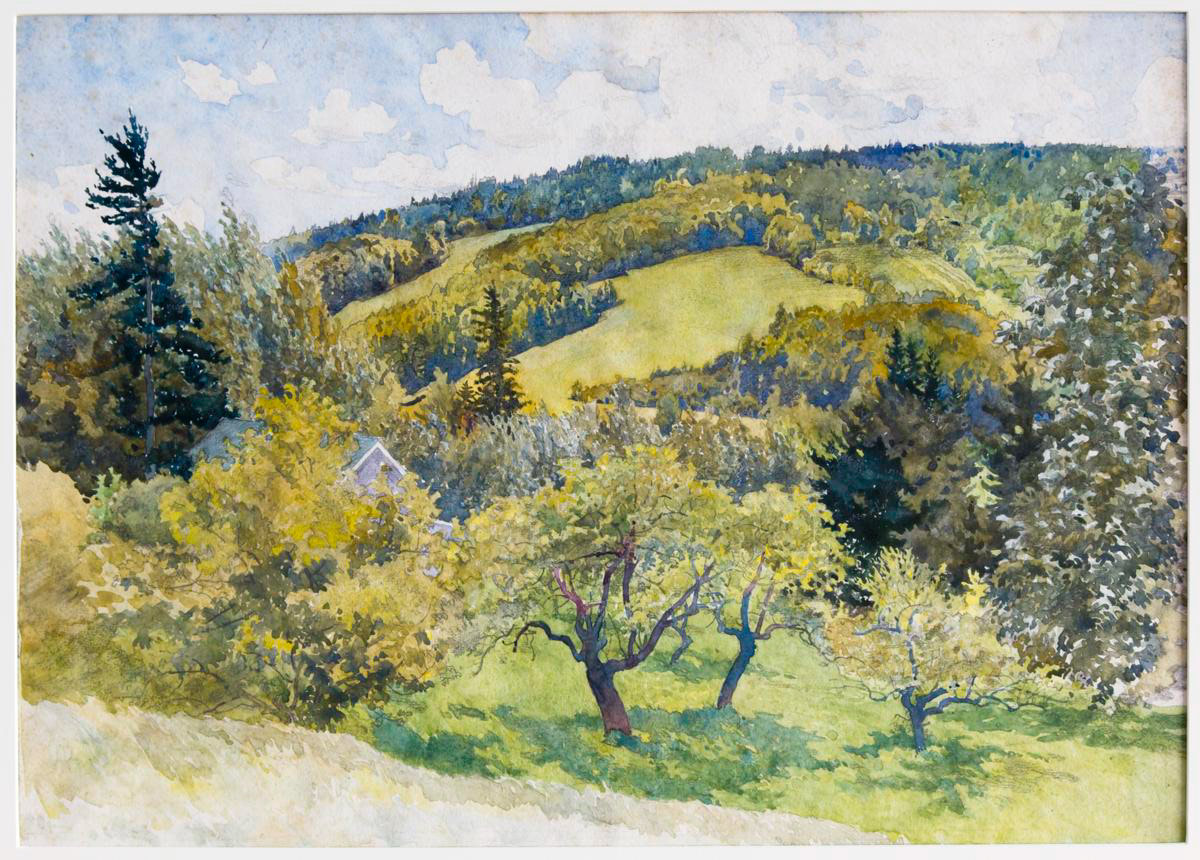 Apple Orchard, Wooded Hillside - Durham Hills or Nova Scotia