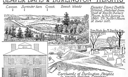 Beaver Dams And Burlington Heights