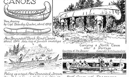 Canoes