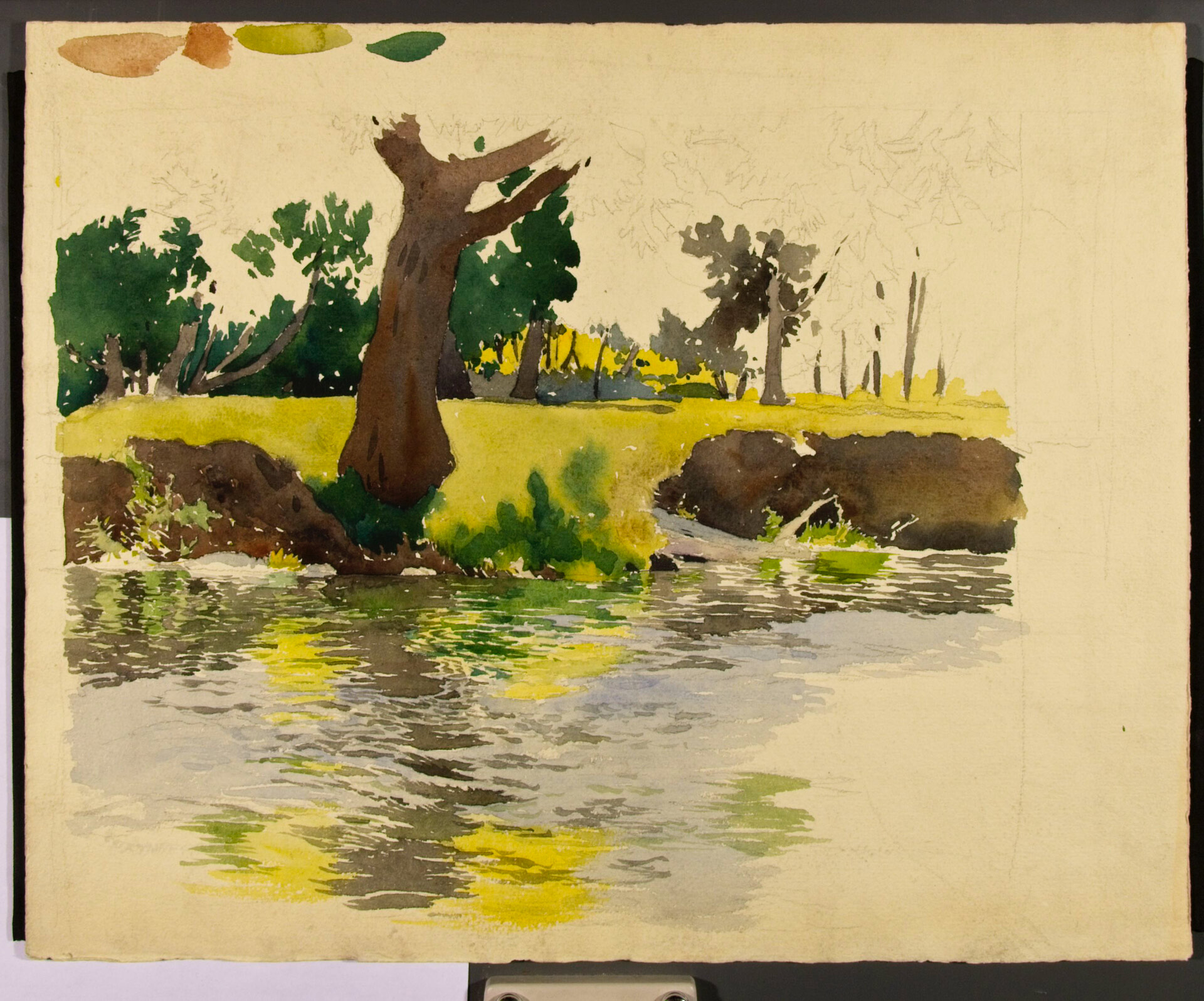 Untitled Sketch [Willow Creek, August]