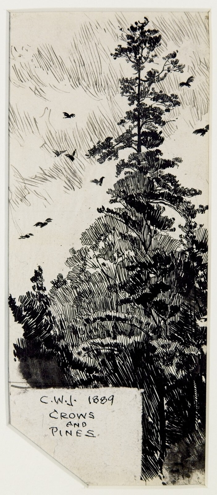 Crows and Pines