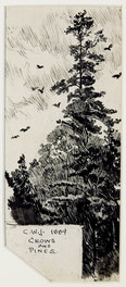 Crows and Pines