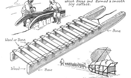 Eskimo Sleds