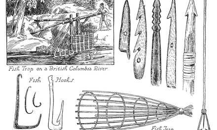 Fish Traps and Spears
