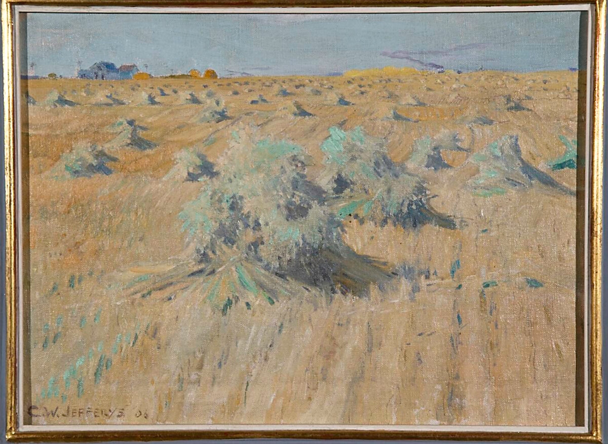 A Fields of Oats in Manitoba 1906