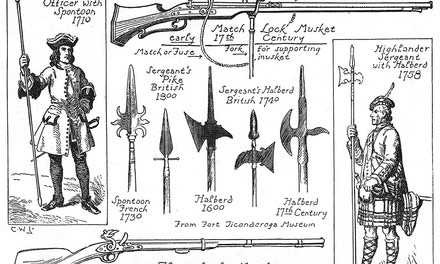 Halberts, Spontoons and Muskets