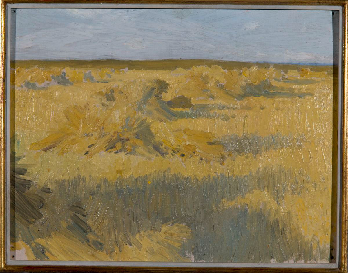 Untitled [Harvested Field, Manitoba] c.1906