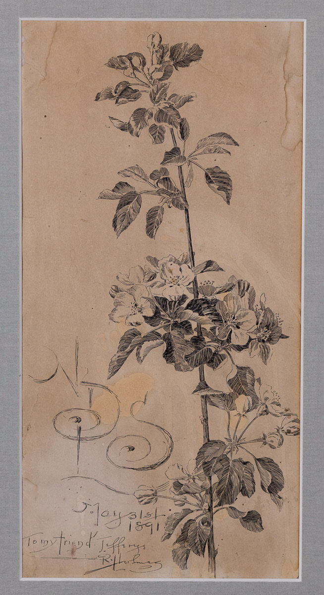 Apple Blossoms