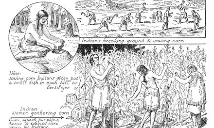 Indian Agriculture