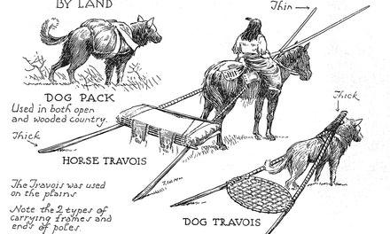 Indian Transportation By Land