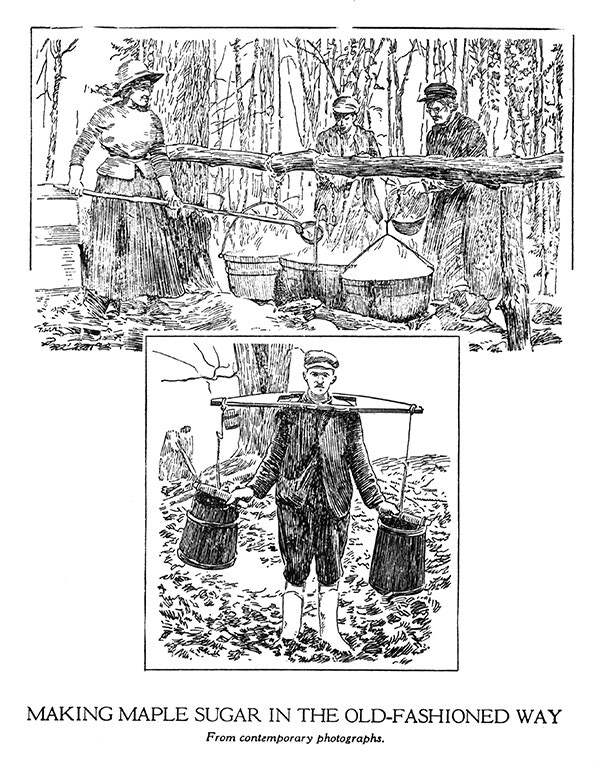 Making Maple Sugar