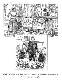 Making Maple Sugar