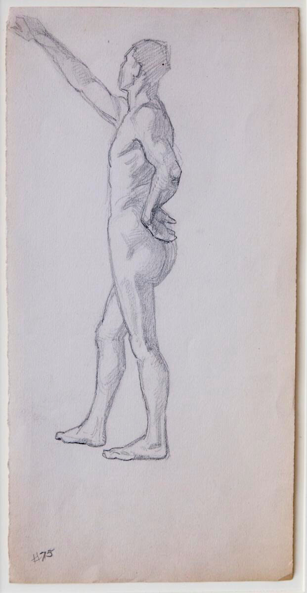 Male Model