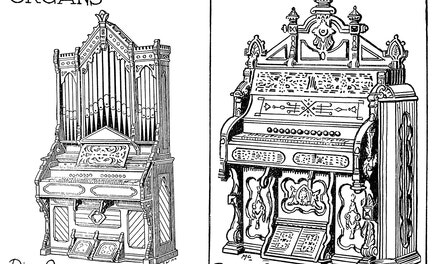 Organs