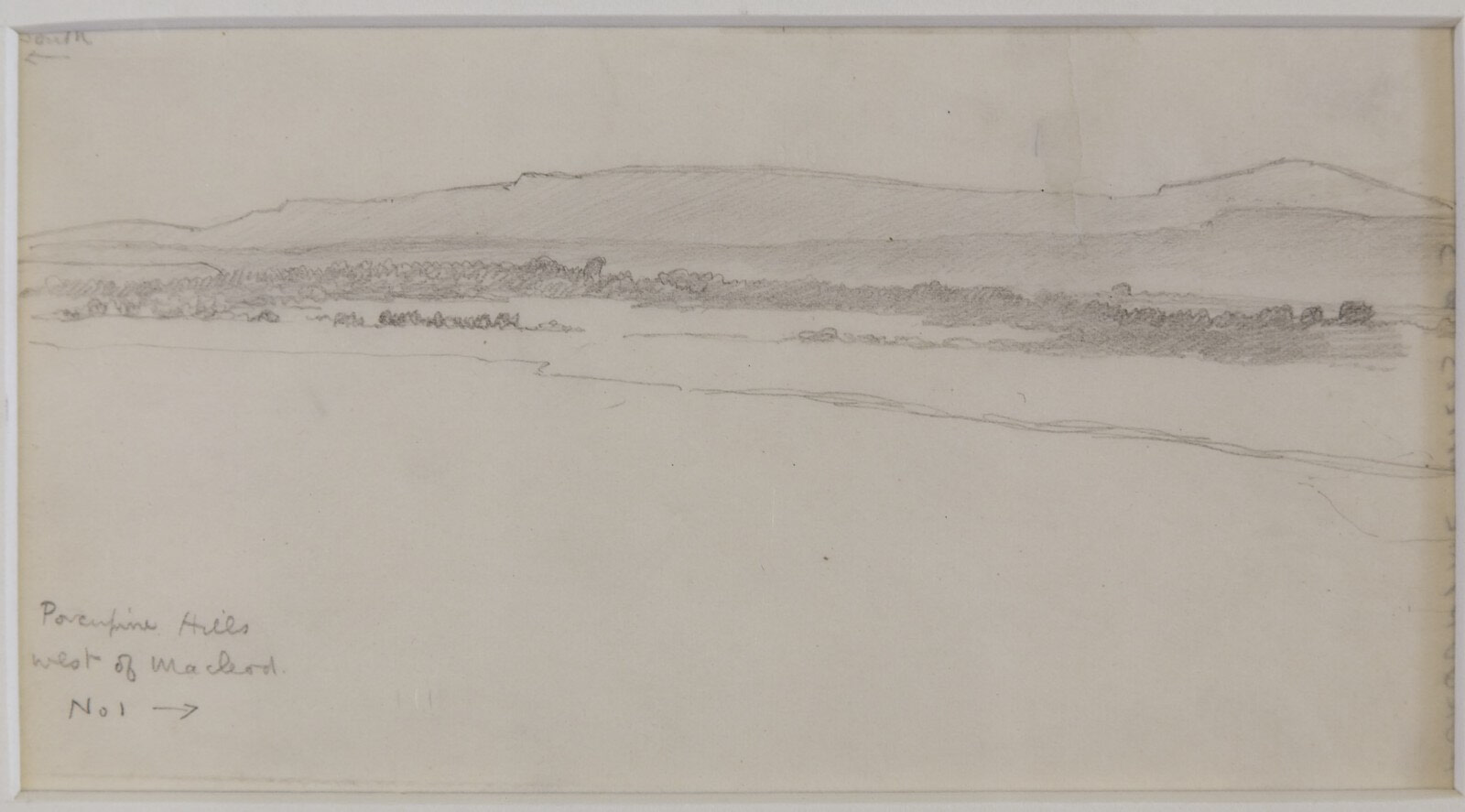 Porcupine Hills West of Macleod (1)