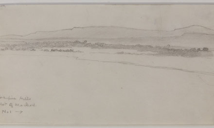 Porcupine Hills West of Macleod