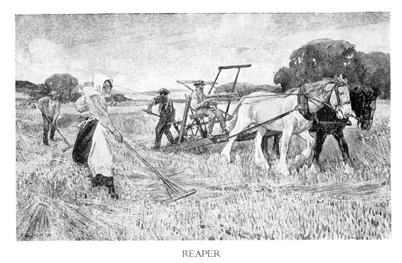 Reaper