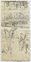 Thoreau's Journal