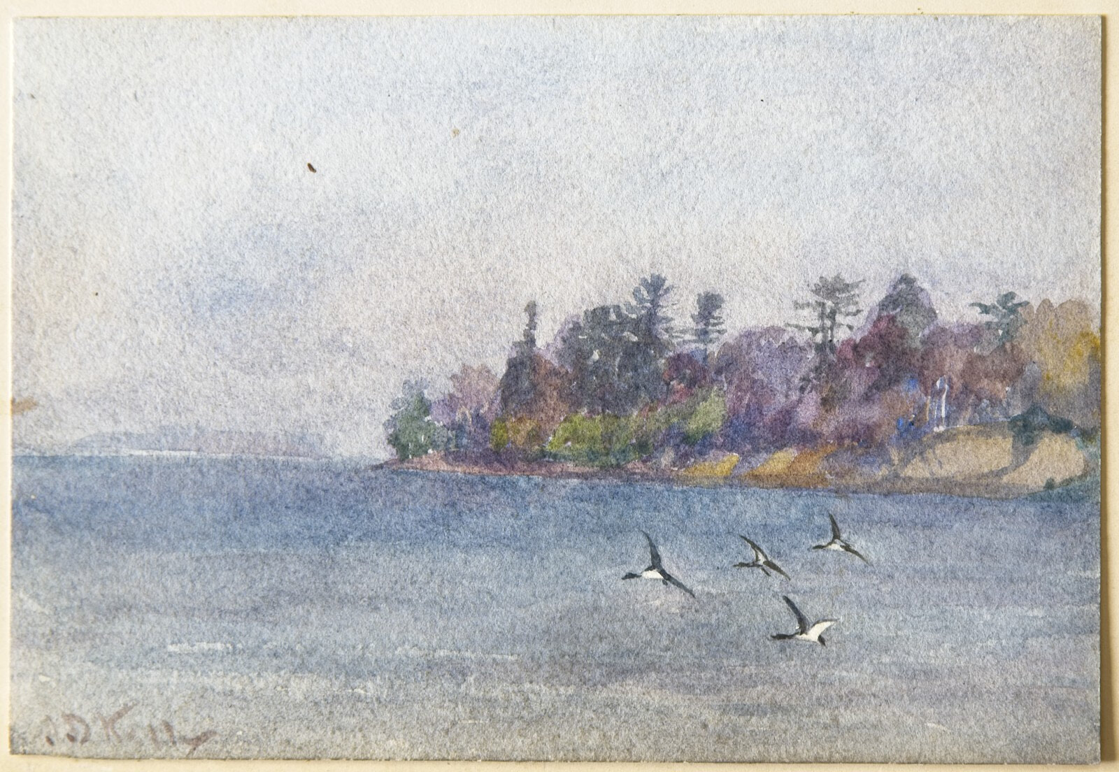 Untitled Landscape (JD Kelly)