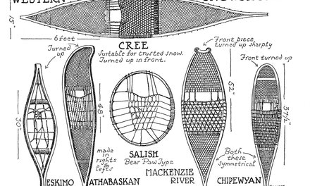 Western Snowshoes