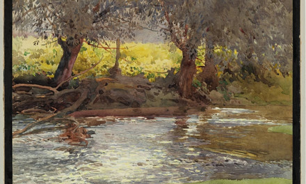 Willow Creek, August