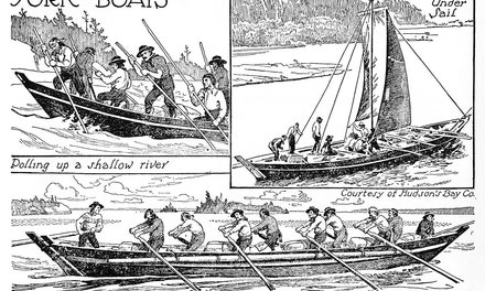 York Boats