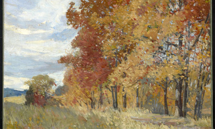 Breezy Autumn