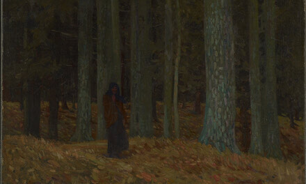 Dark Woods