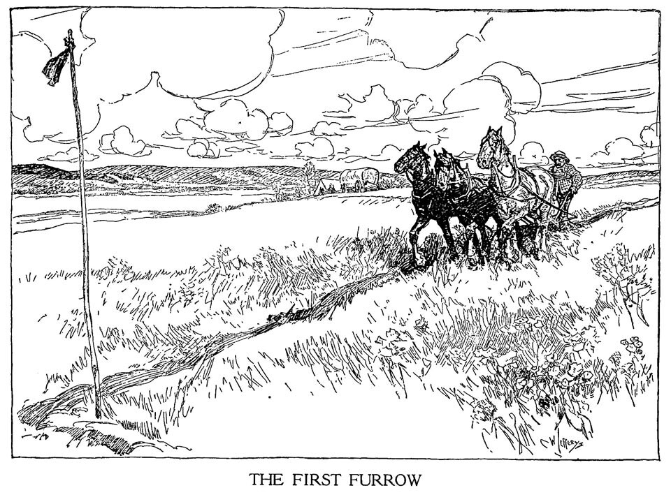 The First Furrow