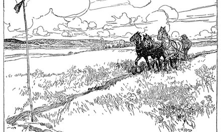 First Furrow