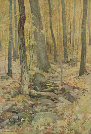 Woodland Interior